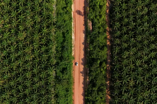 Ribuan warga di Riau protes atas penyitaan perkebunan sawit oleh pemerintah Indonesia