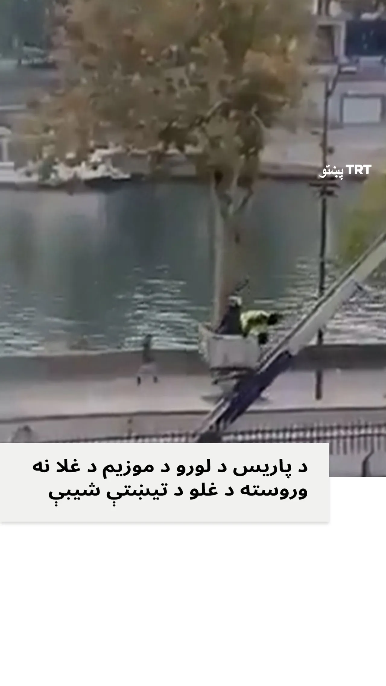 د پاریس د لوور موزیم نه د غلا نه وروسته د غلو د تېښتې شېبې په کمره کې ثبت شوې.