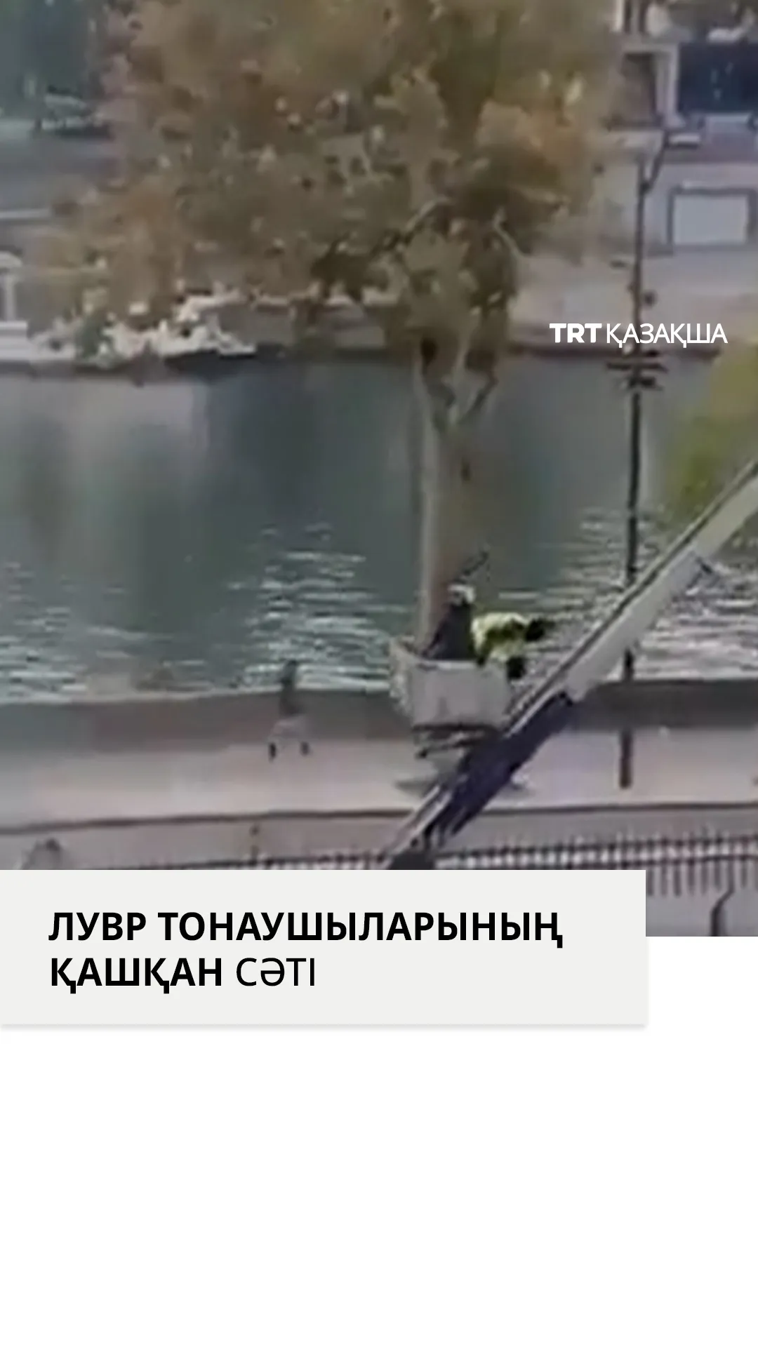 Лувр тонаушыларының күндізгі уақытта қашқан сәті камераға түсіп қалды