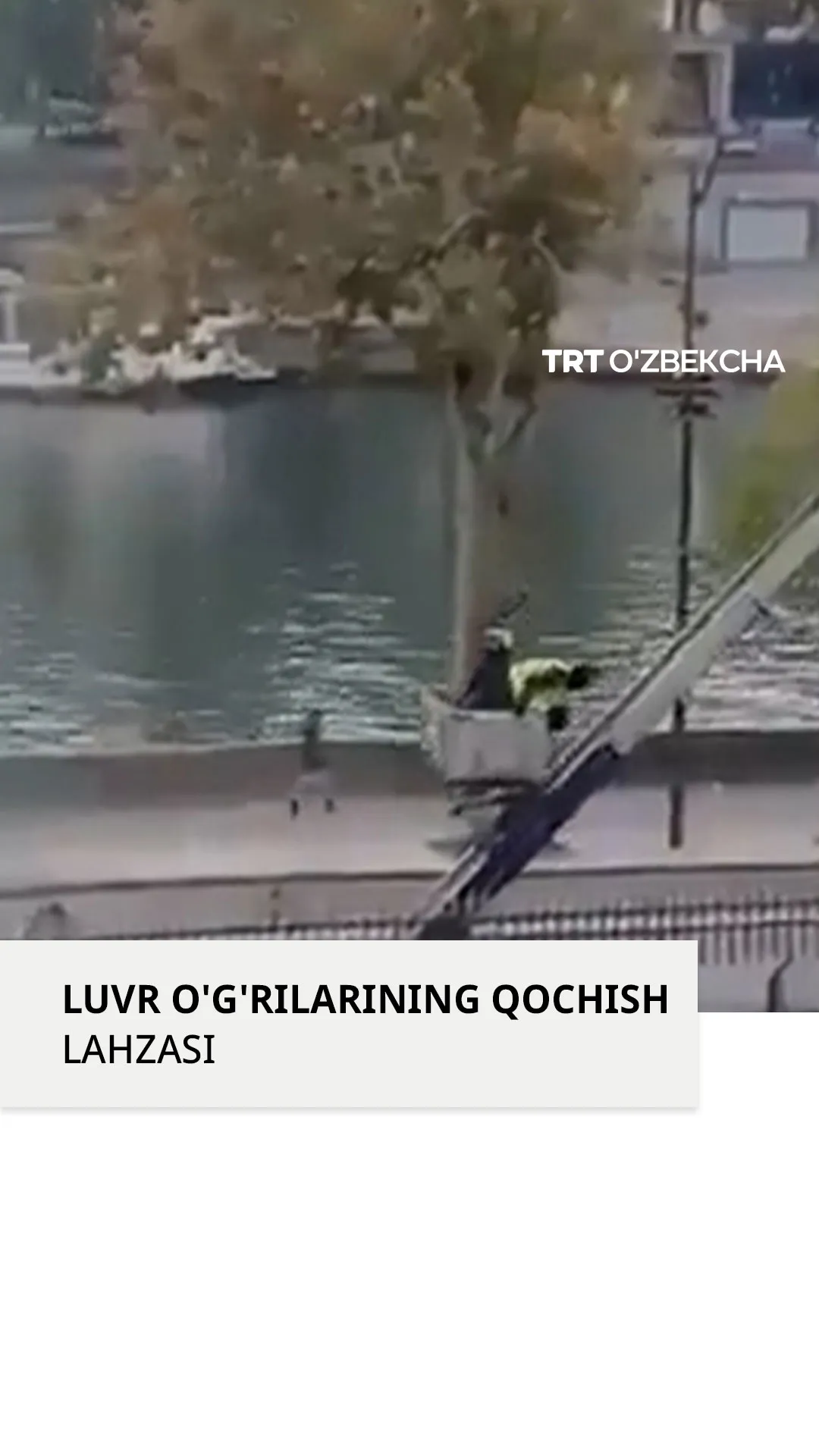 Luvr muzeyidagi o'g'rilar kameraga tushib qoldi