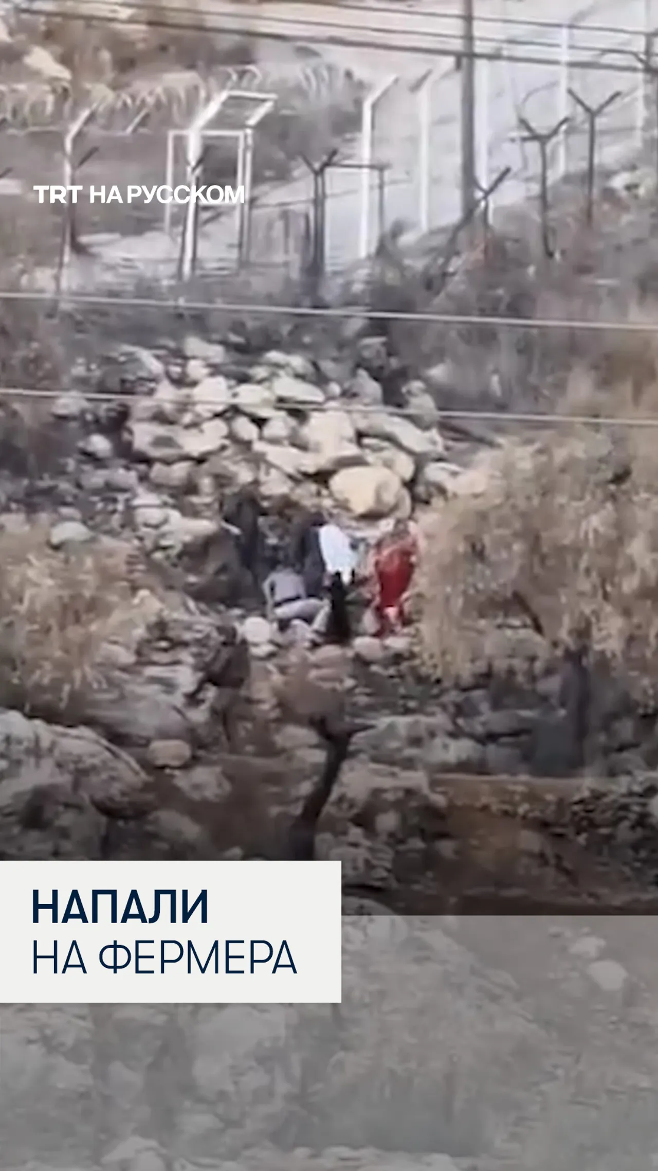 Израильские солдаты и поселенец избили палестинского фермера