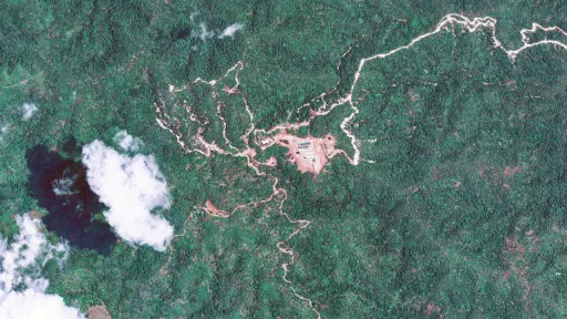 Western, Asian countries eye rare earth minerals in Kenya's forested land