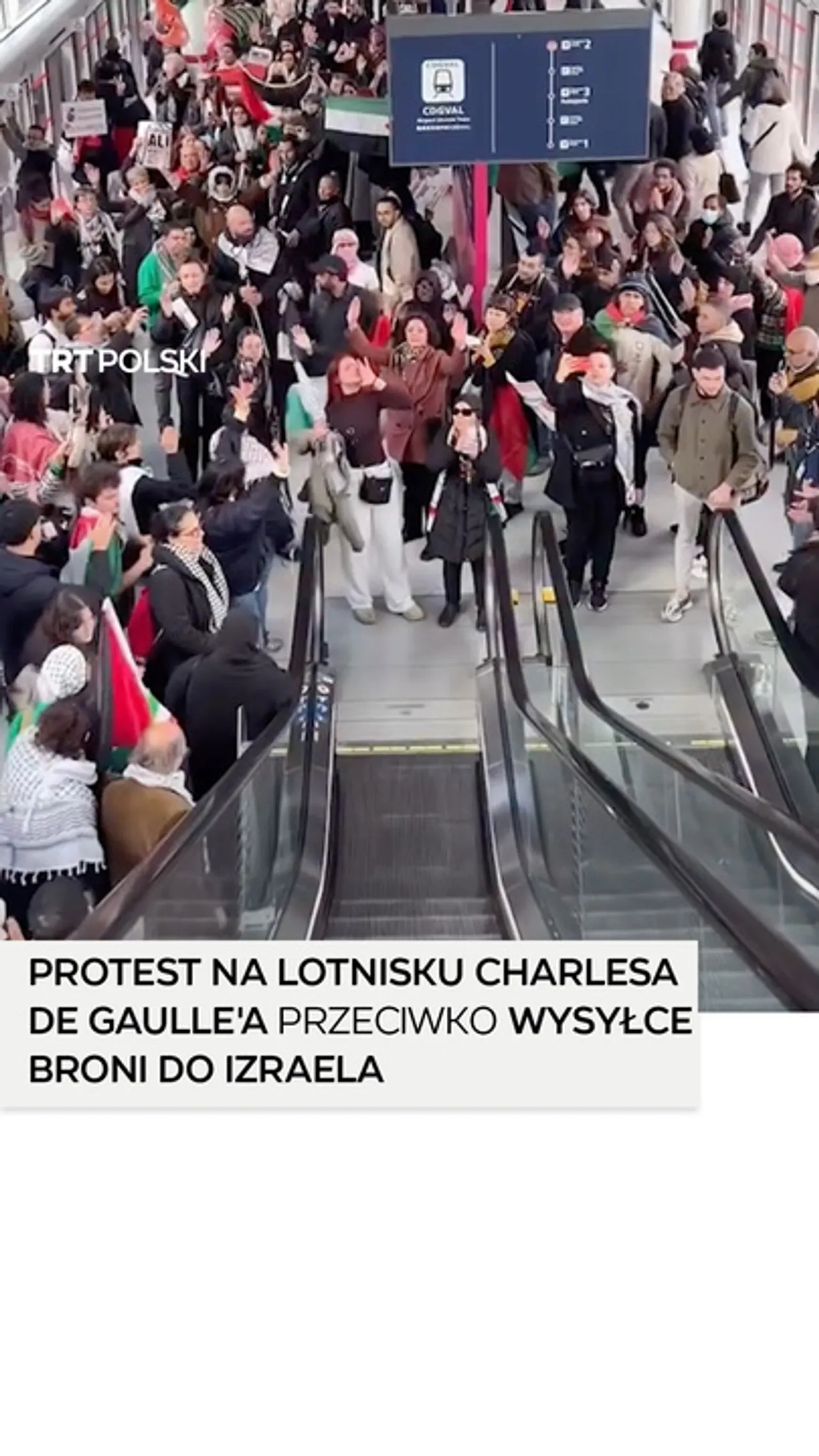 Protest na lotnisku Charlesa de Gaulle'a przeciwko wysyłce broni do Izraela