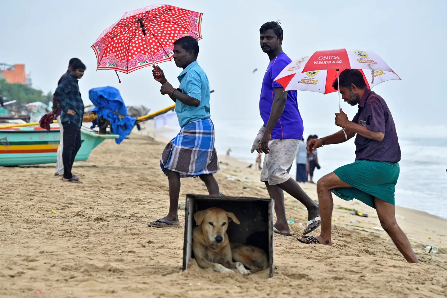 अरब सागर और बंगाल की खाड़ी में चक्रवात ‘मोंथा’ के तीव्र होने के कारण भारतीय सेना हाई अलर्ट पर
