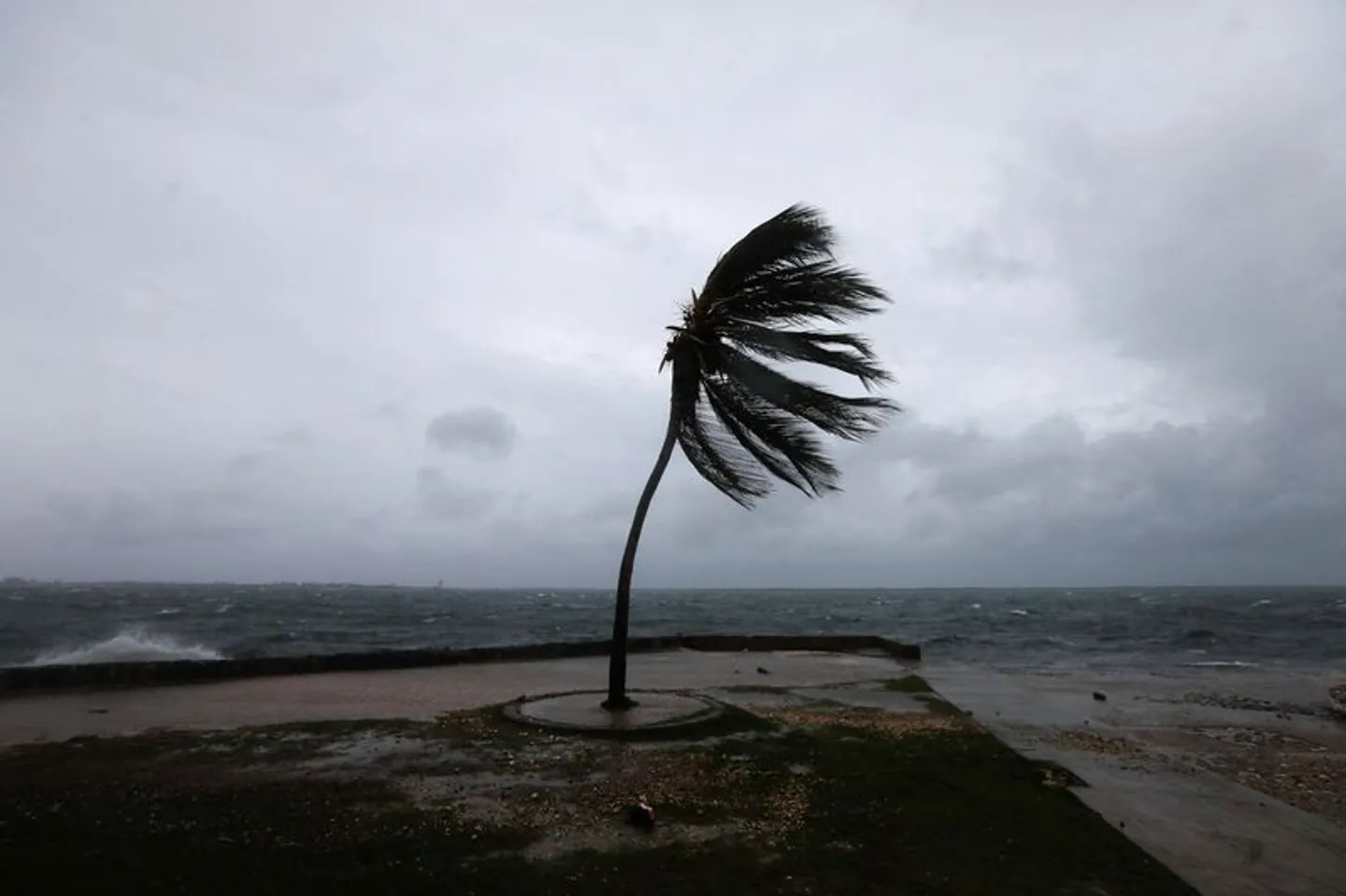 'Catastrophic situation!' — WMO warns Hurricane Melissa to be Jamaica's worst storm this century