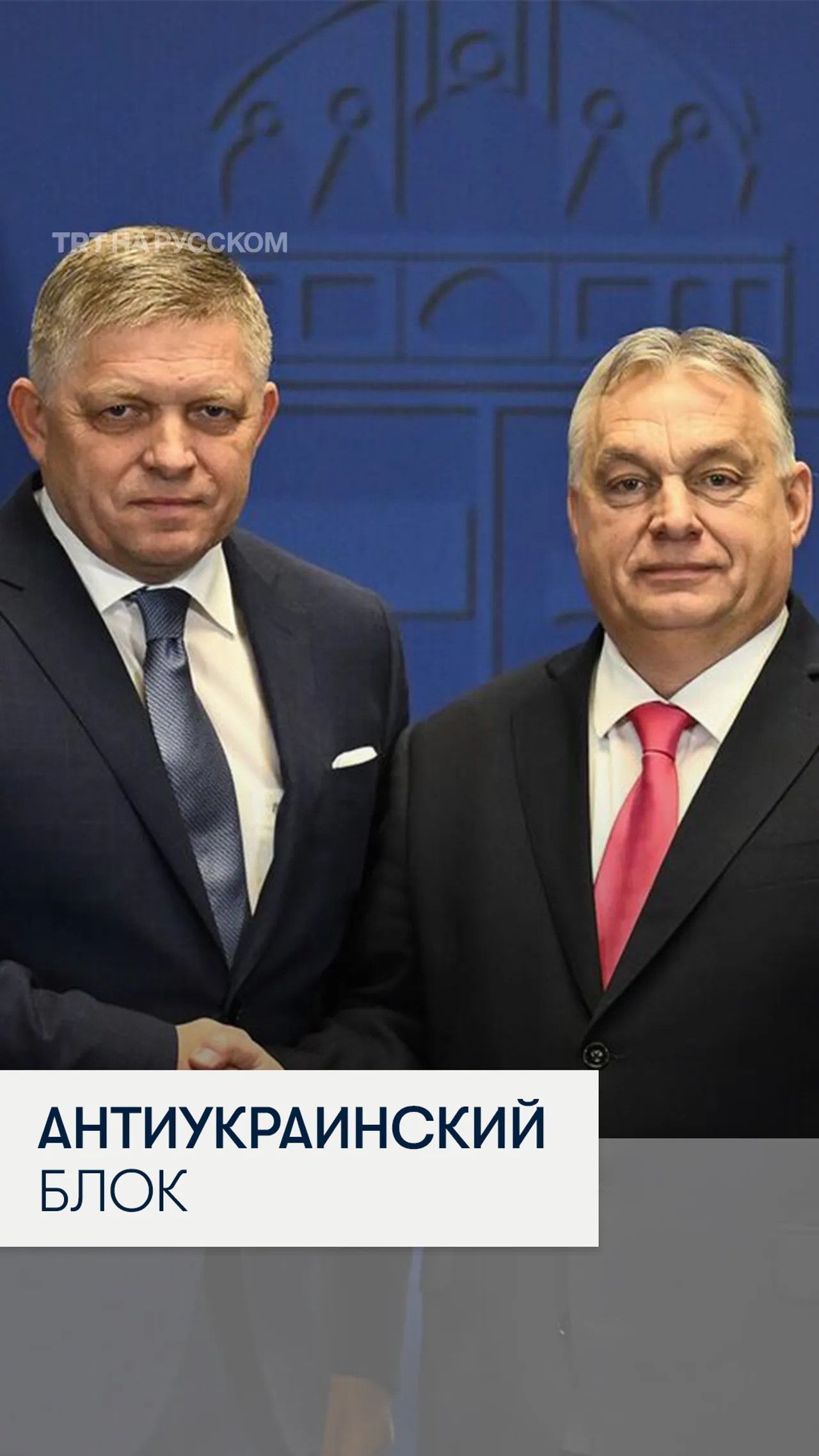 Венгрия планирует создать антиукраинский блок с Чехией и Словакией?
