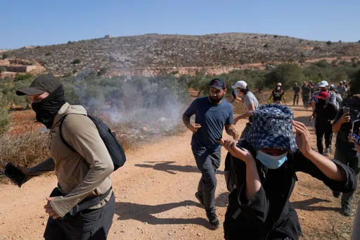 ارتش اسرائیل ۱۳۵ درخت زیتون را در شمال کرانه باختری ریشه کن کرد