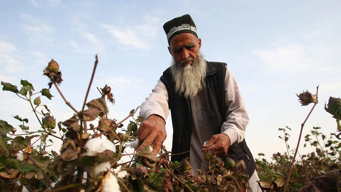 رشد ۸ درصدی کشاورزی تاجیکستان در سال ۲۰۲۵