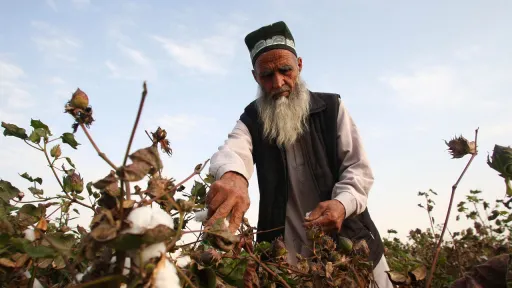 رشد ۸ درصدی کشاورزی تاجیکستان در سال ۲۰۲۵