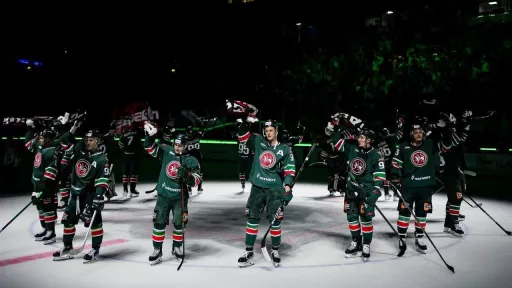 Татарстанский хоккейный клуб установил новый рекорд