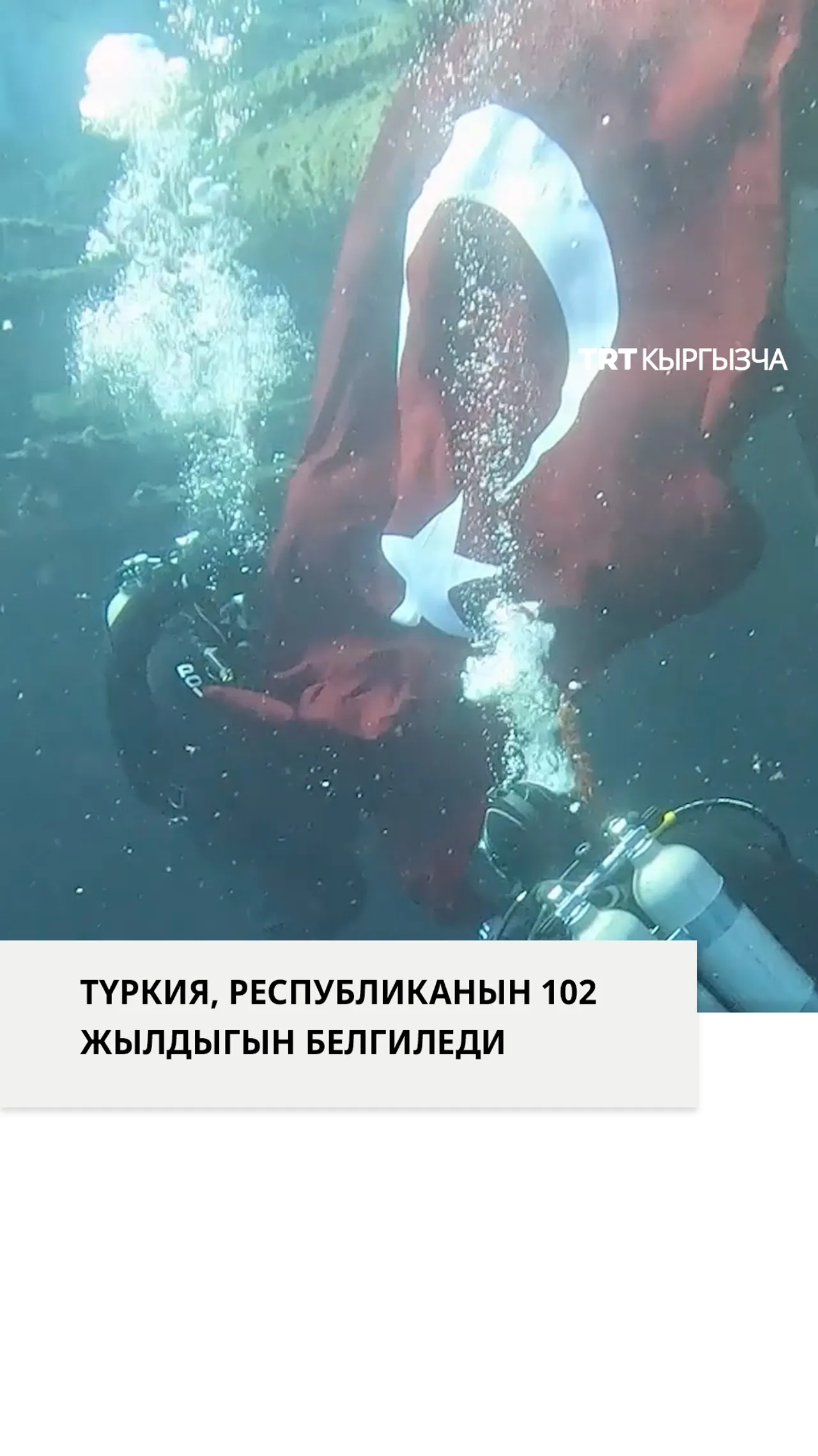 Түркиянын жарандары Республиканын 102 жылдыгын өлкө боюнча белгилешти