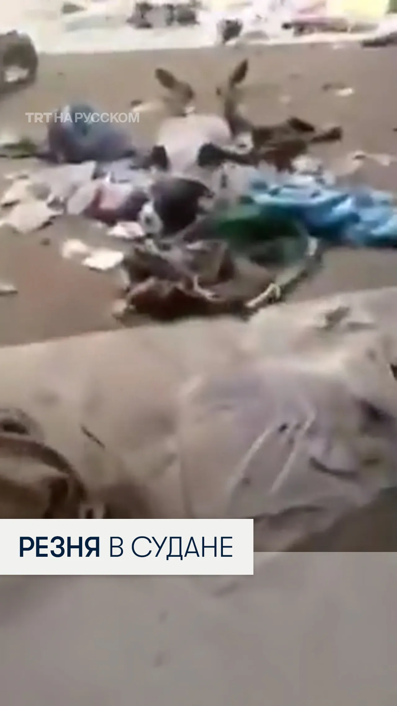 В Судане силы быстрого реагирования (RSF) устроили резню в роддоме