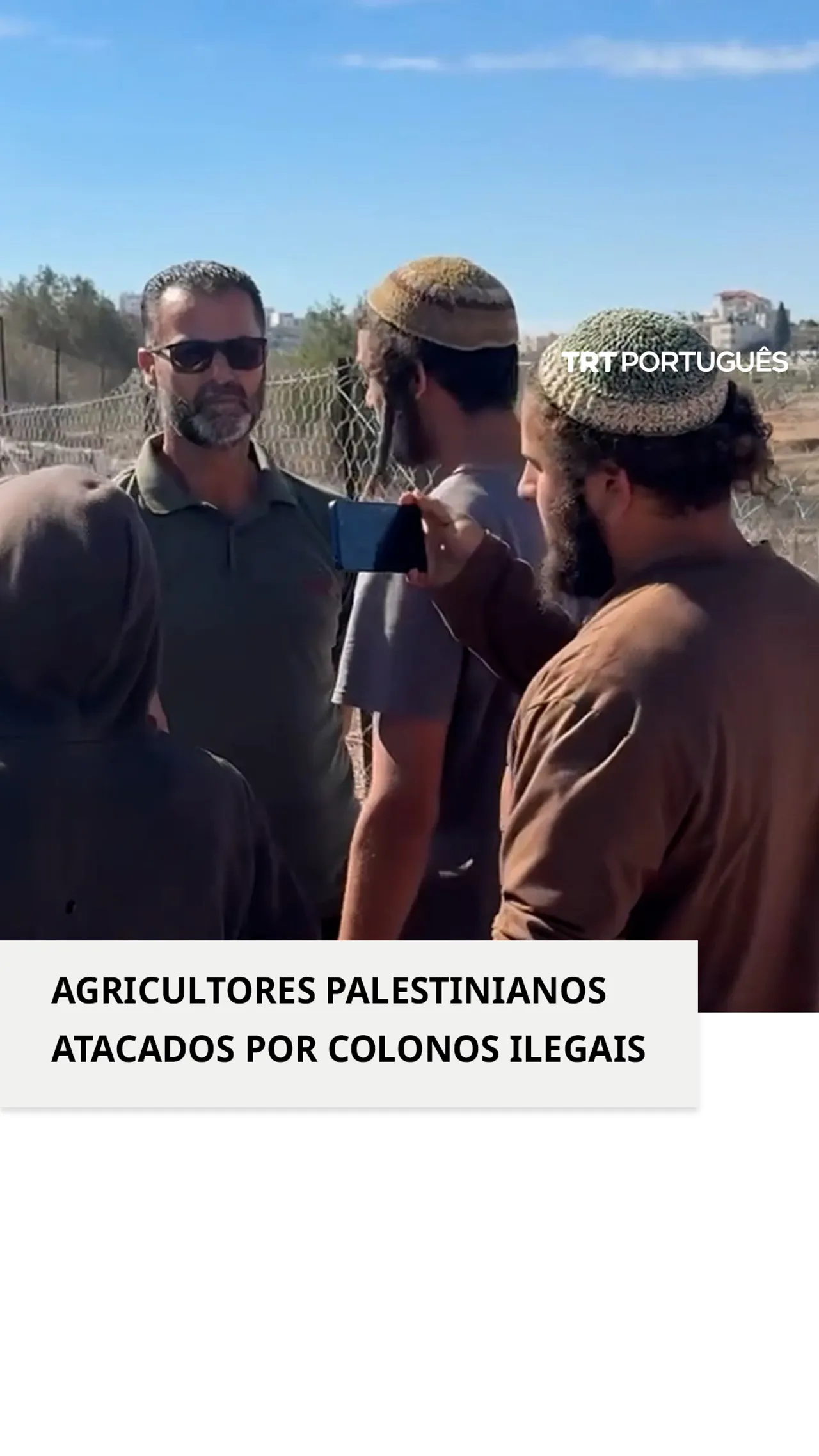Agricultores palestinianos de azeitonas atacados por colonos israelitas ilegais