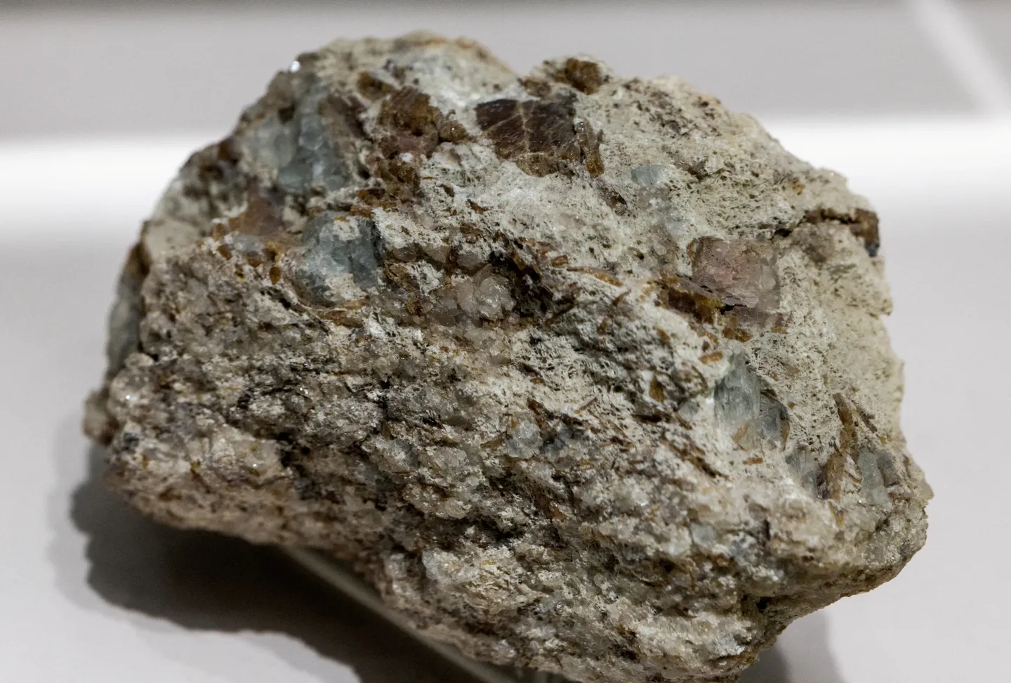 भारत का कहना है कि कंपनियों के पास चीन से दुर्लभ मृदा मगनेट्स के आयात का लाइसेंस है