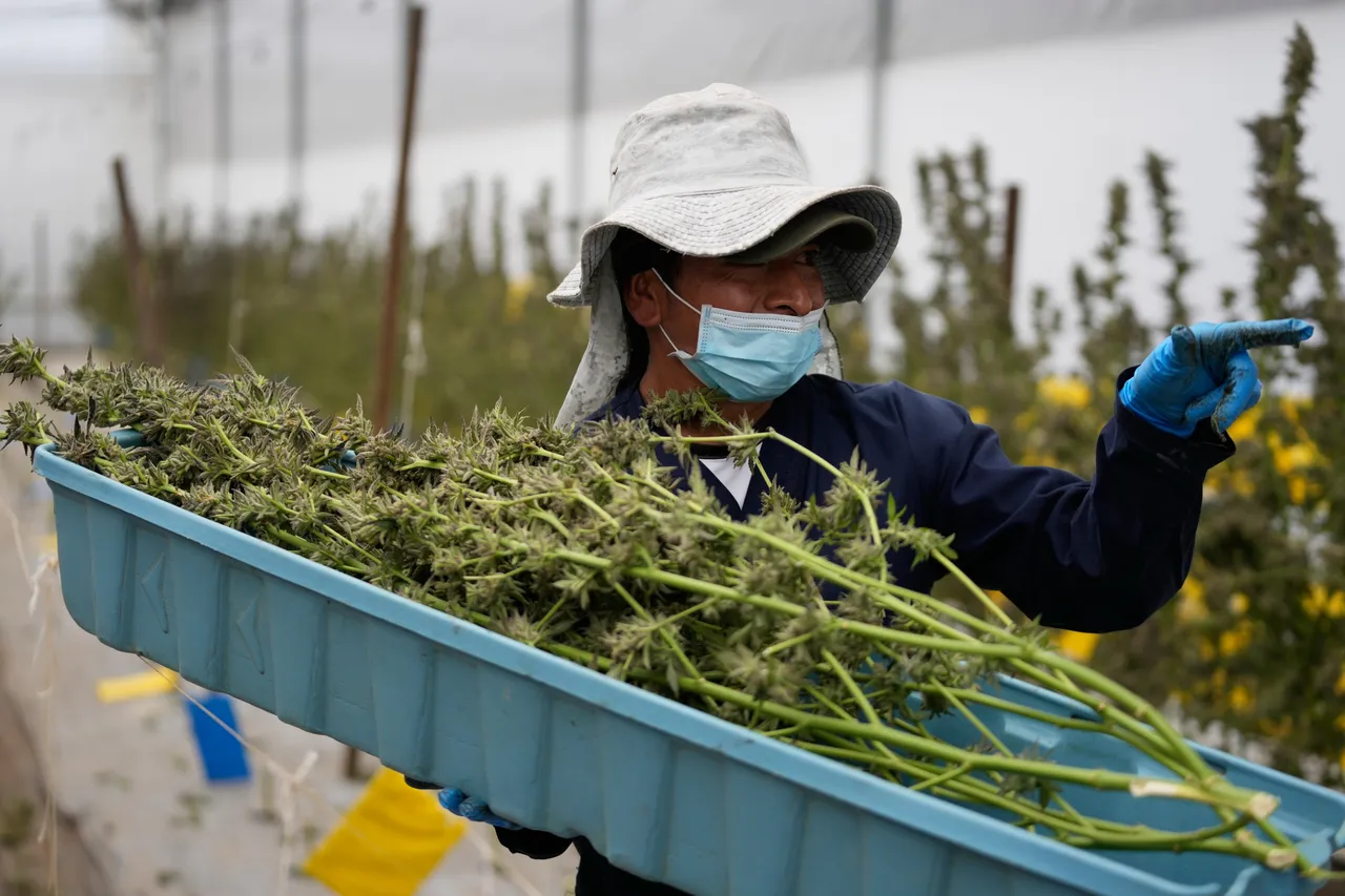 Drugscriminaliteit verschuift naar kleine havens: Nederlandse kustgemeenten bundelen krachten