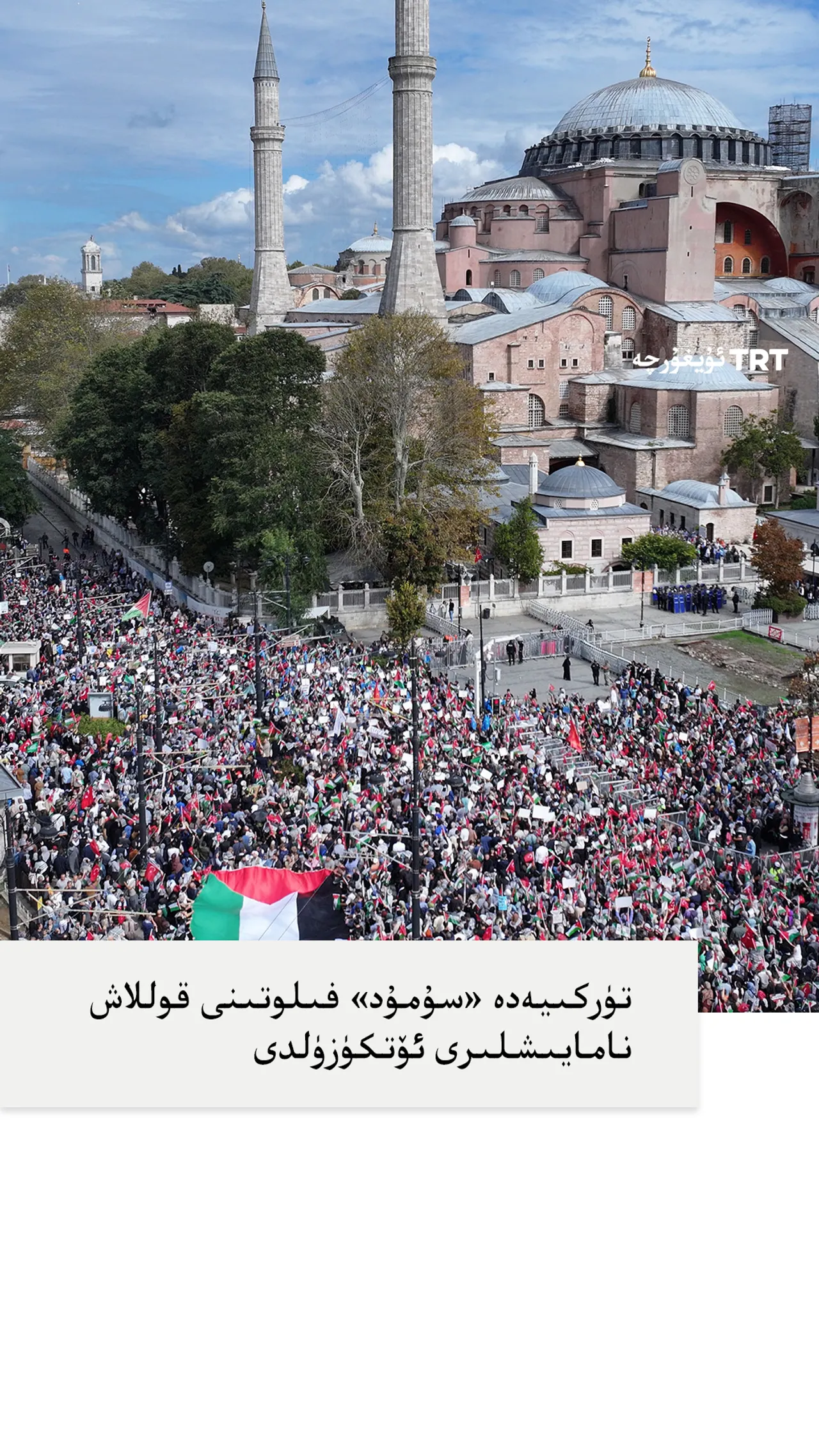 تۈركىيەدە «سۇمۇد» فىلوتىنى قوللاش نامايىشلىرى ئۆتكۈزۈلدى