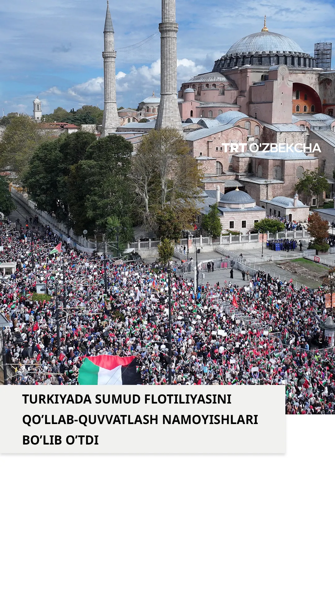 Turkiyada Falastin bilan birdamlik namoyishlari boʻlib oʻtdi
