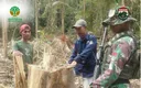 Satgas gabungan bongkar pembalakan liar hutan PT BRN di Mentawai