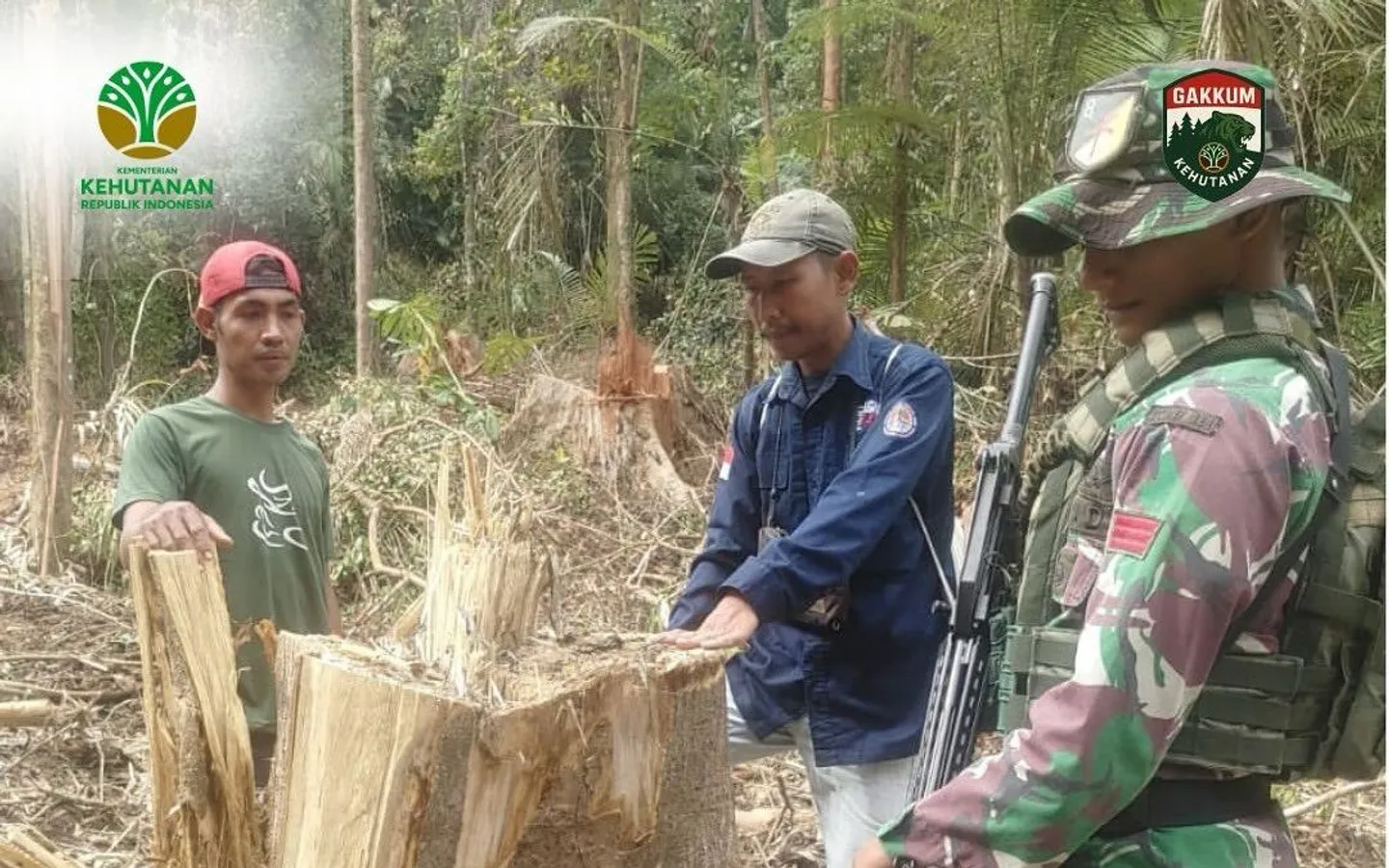 Satgas gabungan bongkar pembalakan liar hutan PT BRN di Mentawai