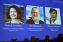 米国と日本の研究者3人、免疫研究でノーベル生理学・医学賞受賞