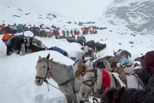 Hundreds evacuated after hiker dies on Mount Everest amid snowstorm