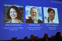 Trio AS-Jepang menangkan Nobel 2025 di bidang kedokteran untuk penelitian sistem kekebalan tubuh