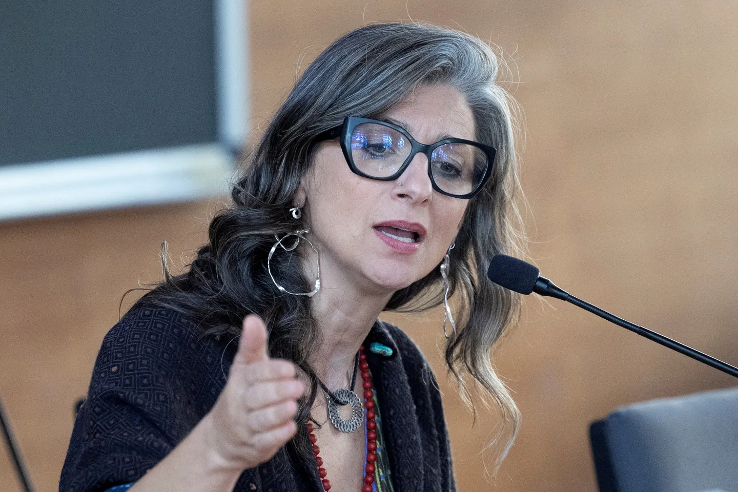 South Africa apologises to UN rapporteur over court papers at forum
