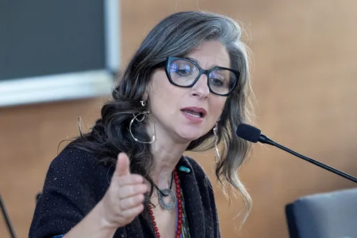 South Africa apologises to UN rapporteur over court papers at forum