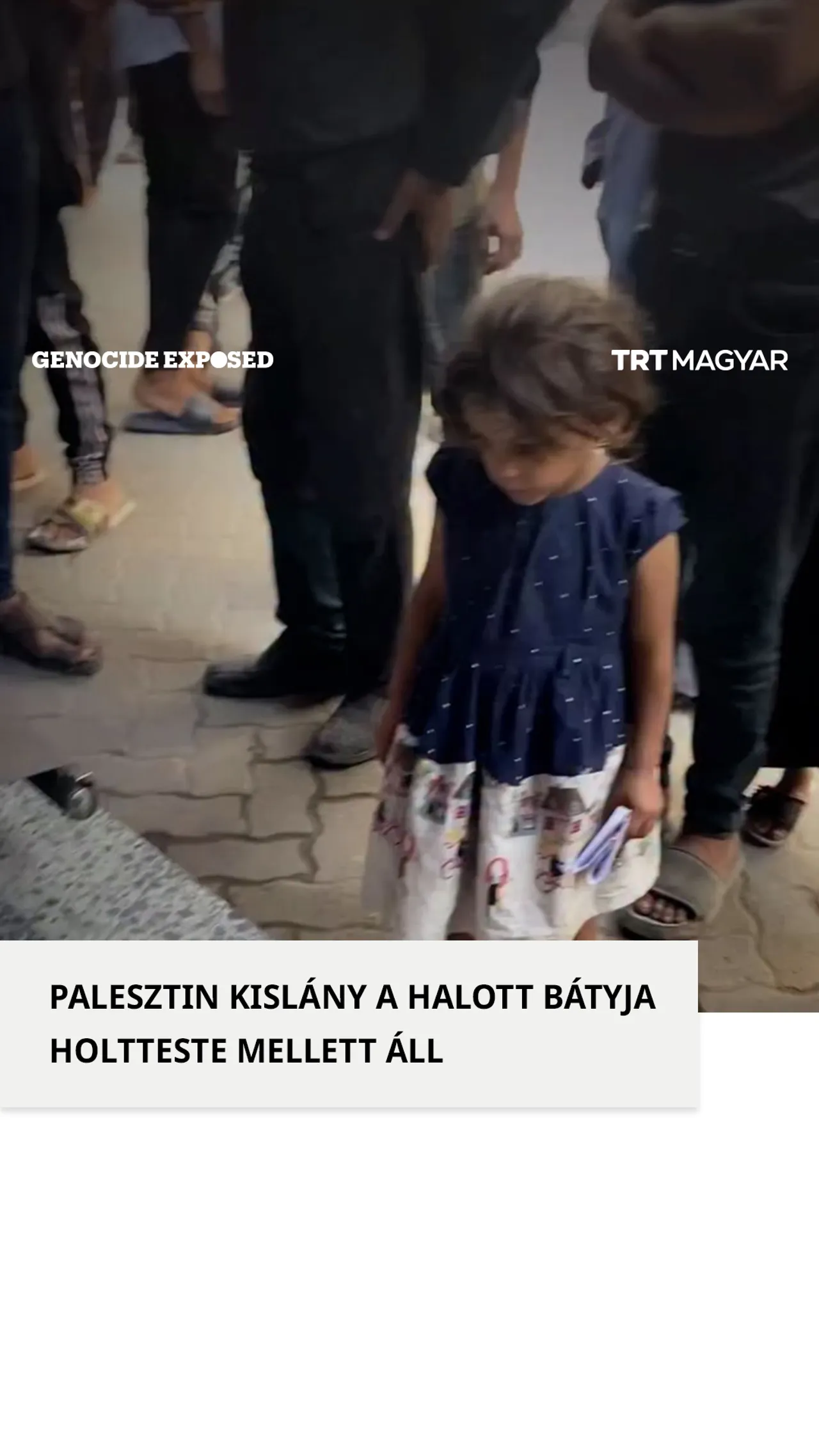 A halott bátyja holtteste mellett áll egy palesztin kislány