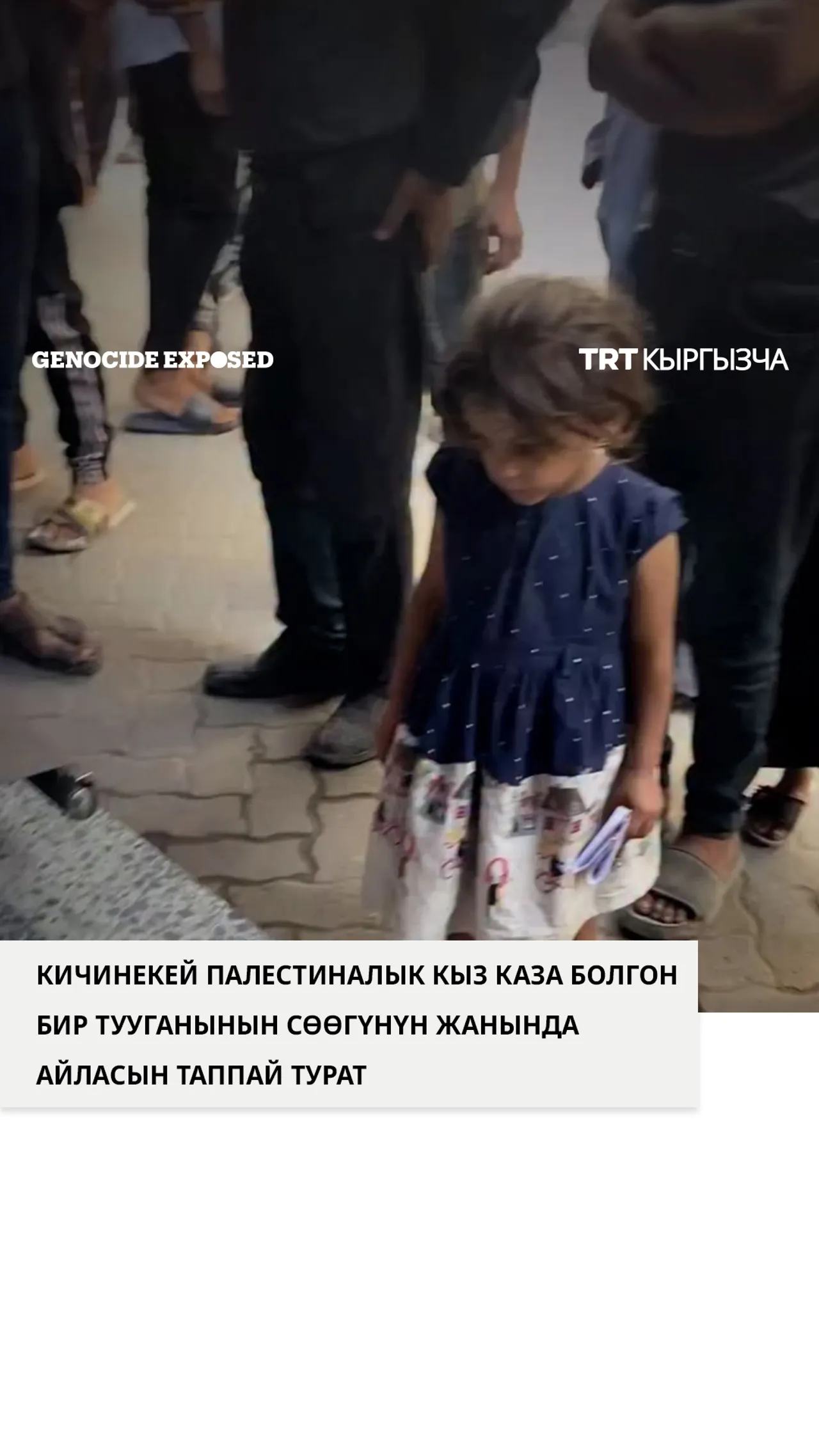 Палестиналык кыз каза болгон бир тууганынын сөөгүнүн жанында айласын таппай турат