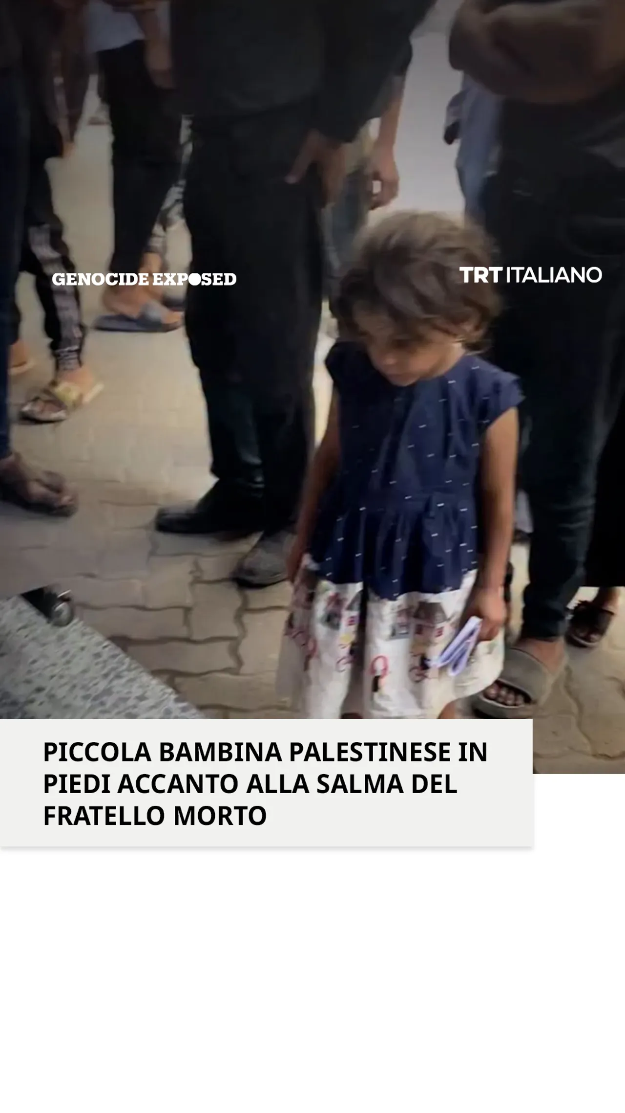 Piccola bambina palestinese in piedi accanto alla salma del fratello morto