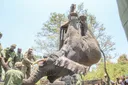 Kenya: Tembo ahamishwa baada ya kuleta madhara kwa wenyeji