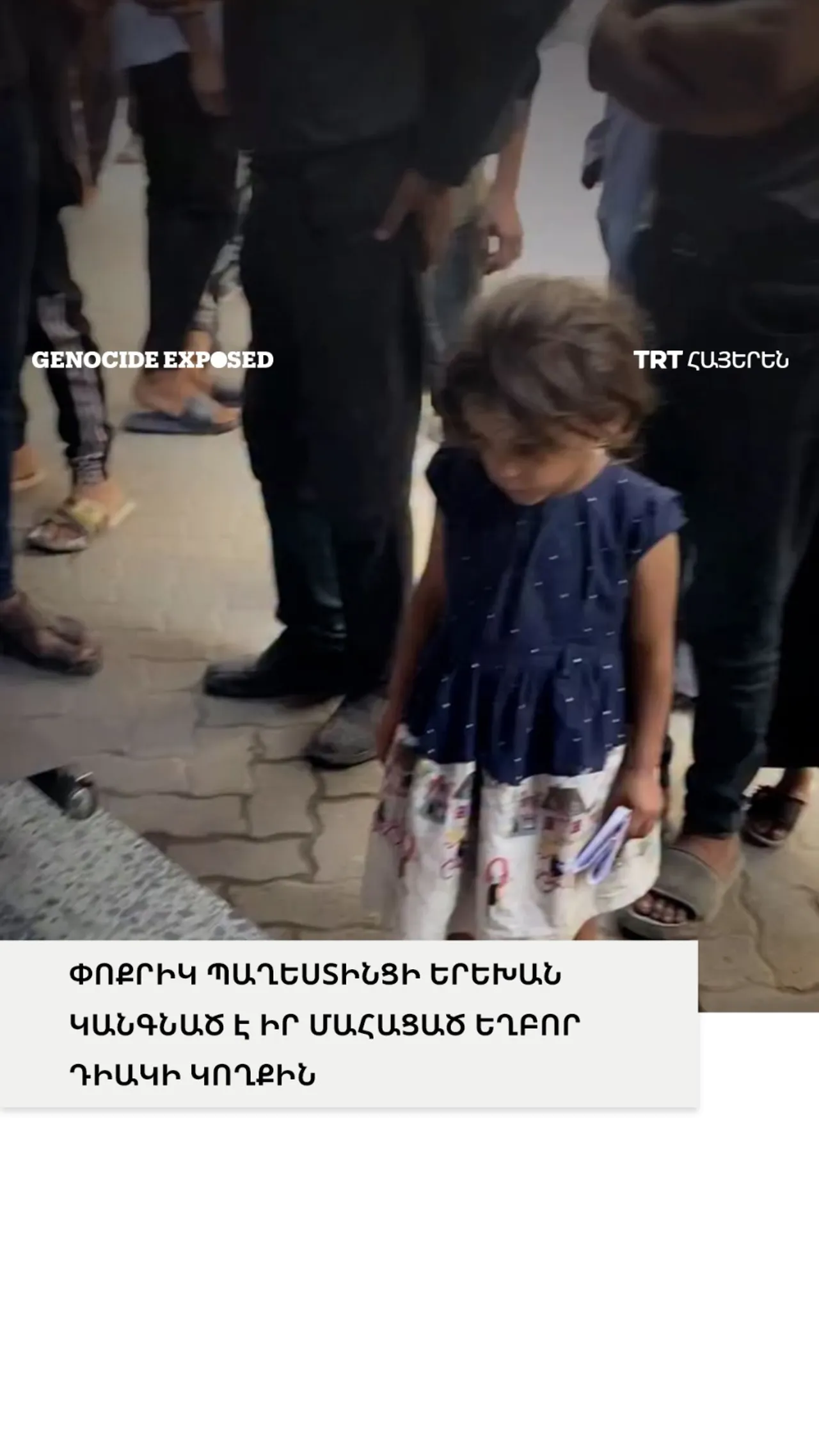 ՓՈՔՐԻԿ ՊԱՂԵՍՏԻՆՑԻ ԵՐԵԽԱՆ ԿԱՆԳՆԱԾ Է ԻՐ ՄԱՀԱՑԱԾ ԵՂԲՈՐ ԴԻԱԿԻ ԿՈՂՔԻՆ