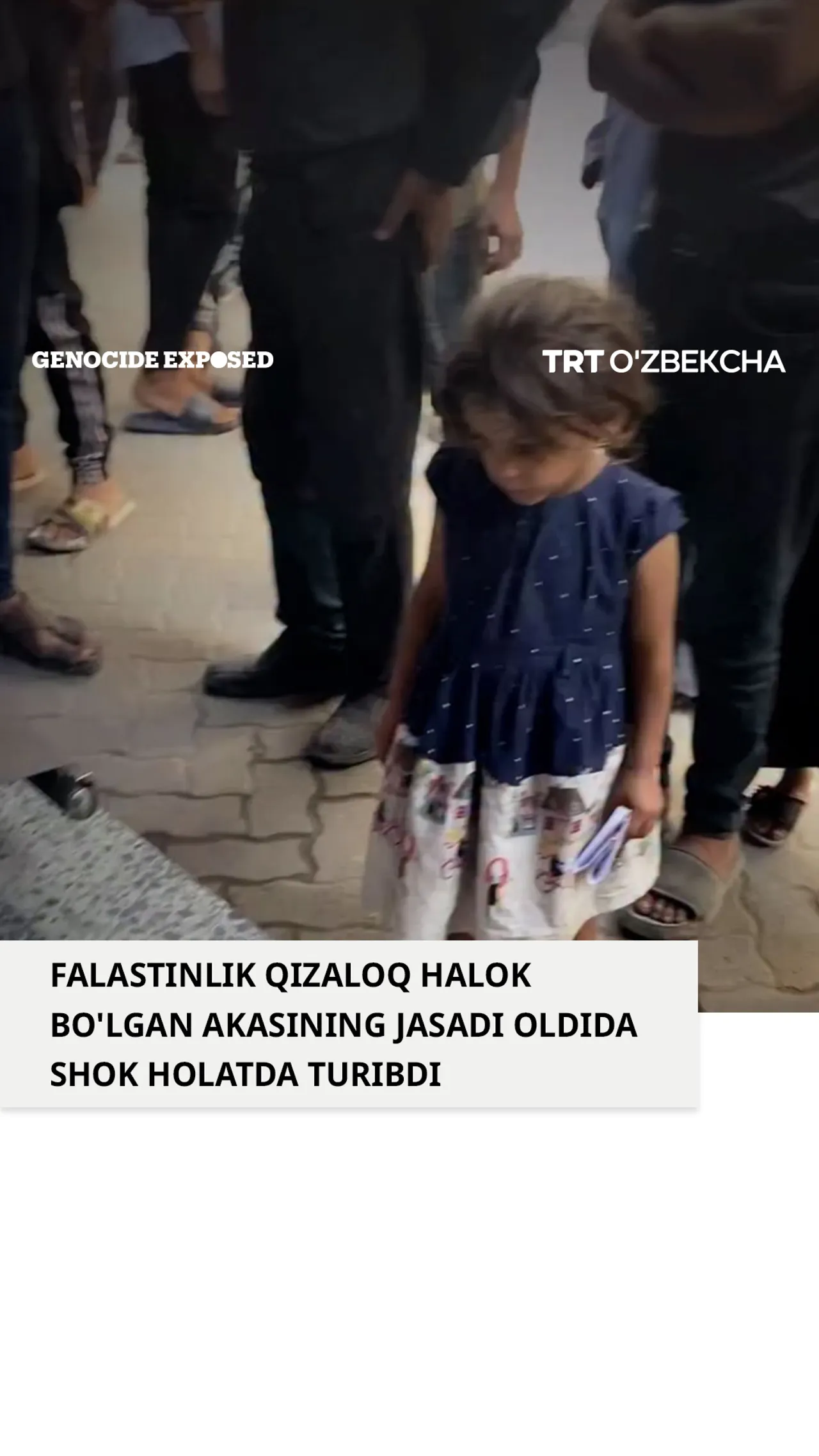 Falastinlik qizaloq akasining jasadi oldida shok holatda