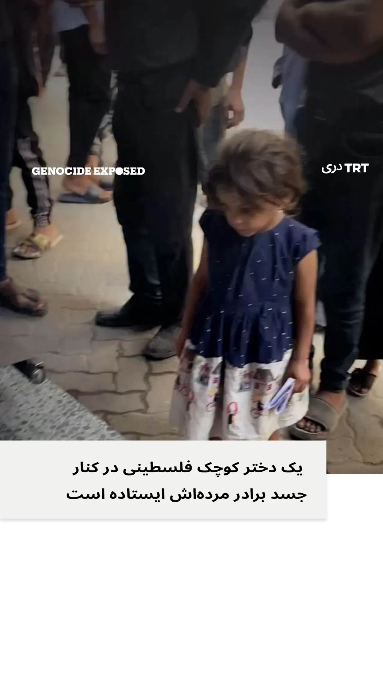 دختر کوچک فلسطینی در کنار جسد برادرش ایستاده است