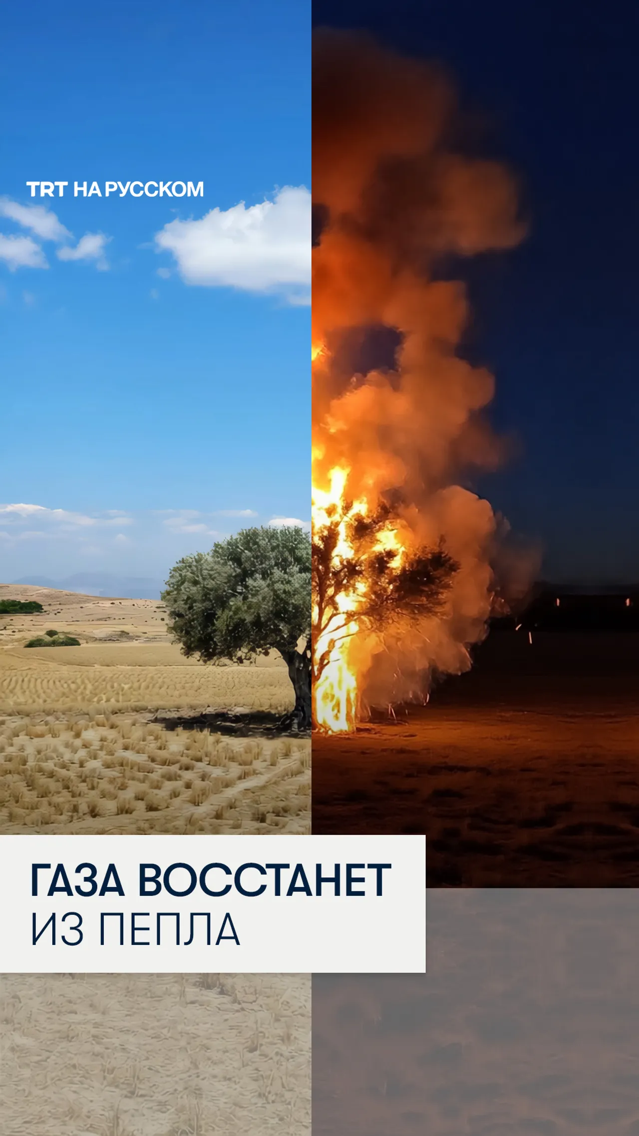 Сегодня исполняется два года с начала геноцида палестинцев в Газе