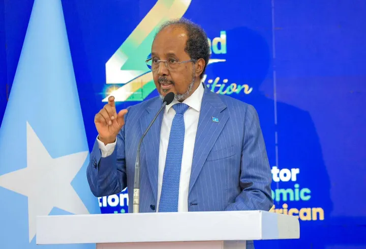 'We've come from far': Somali president says country on path to prosperity