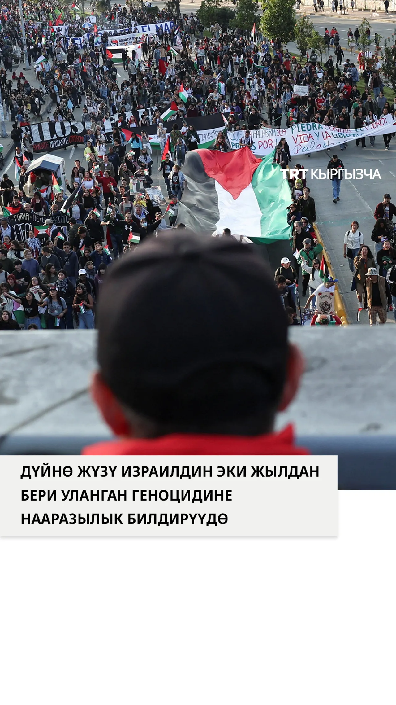 Дүйнө жүзү эки жылдан бери уланган Израилдин геноцидине нааразылык билдирип жатат