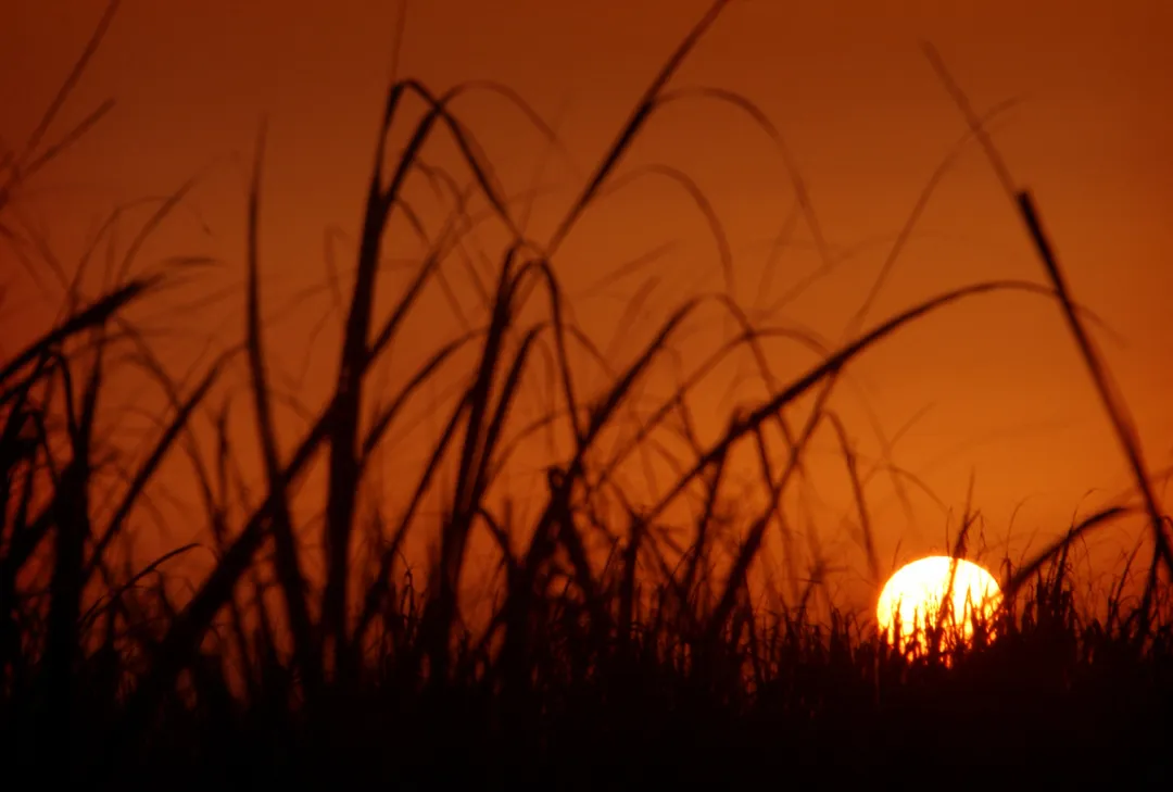 افزایش بیماران تنفسی در استان خوزستان ایران در پی تداوم آلودگی هوا