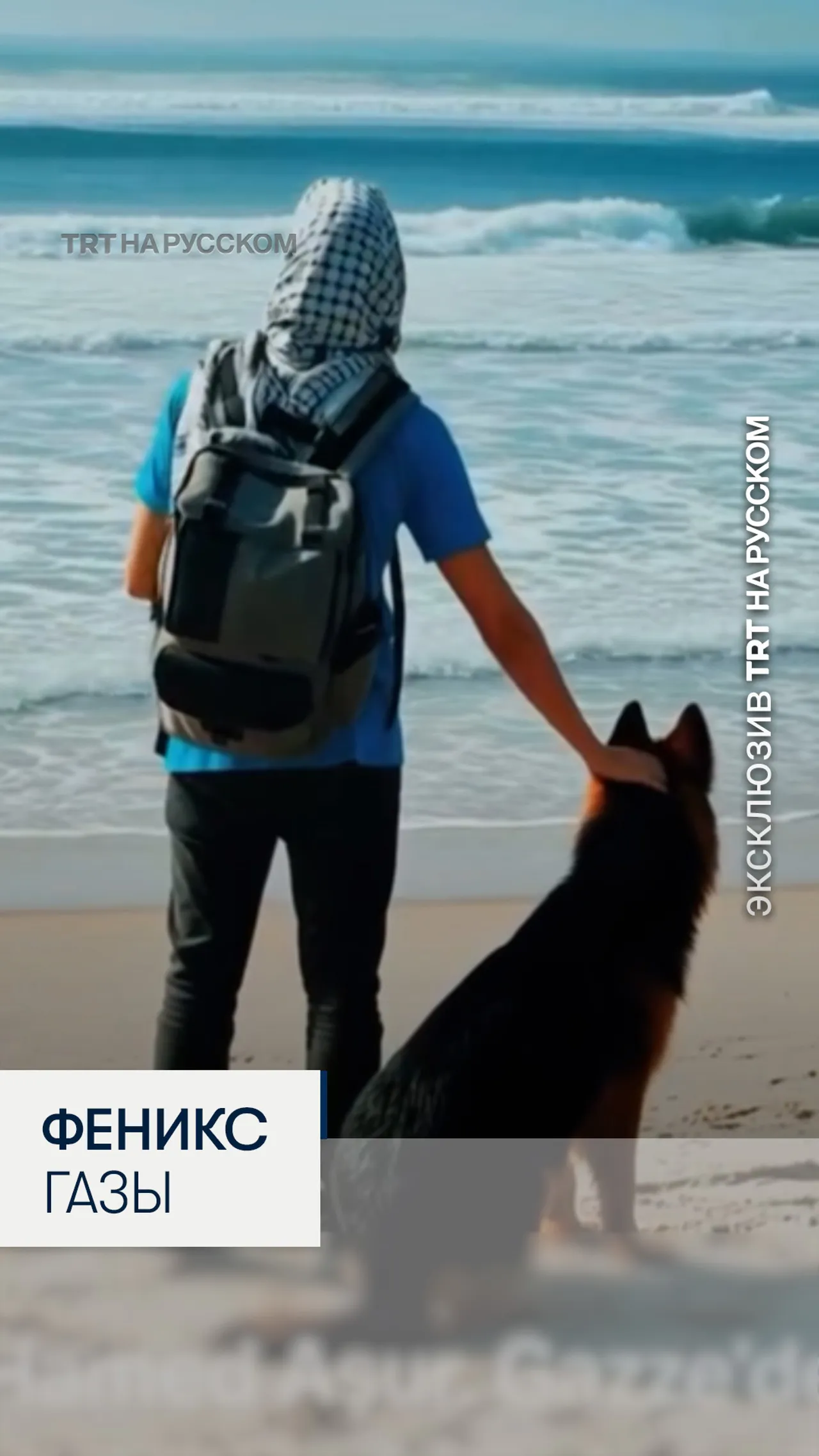 В Стамбуле представили документальный фильм «Феникс Газы» о боли, надежде и достоинстве