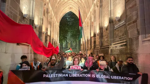 Sit-ins in verschillende Nederlandse steden ter ondersteuning van Palestina