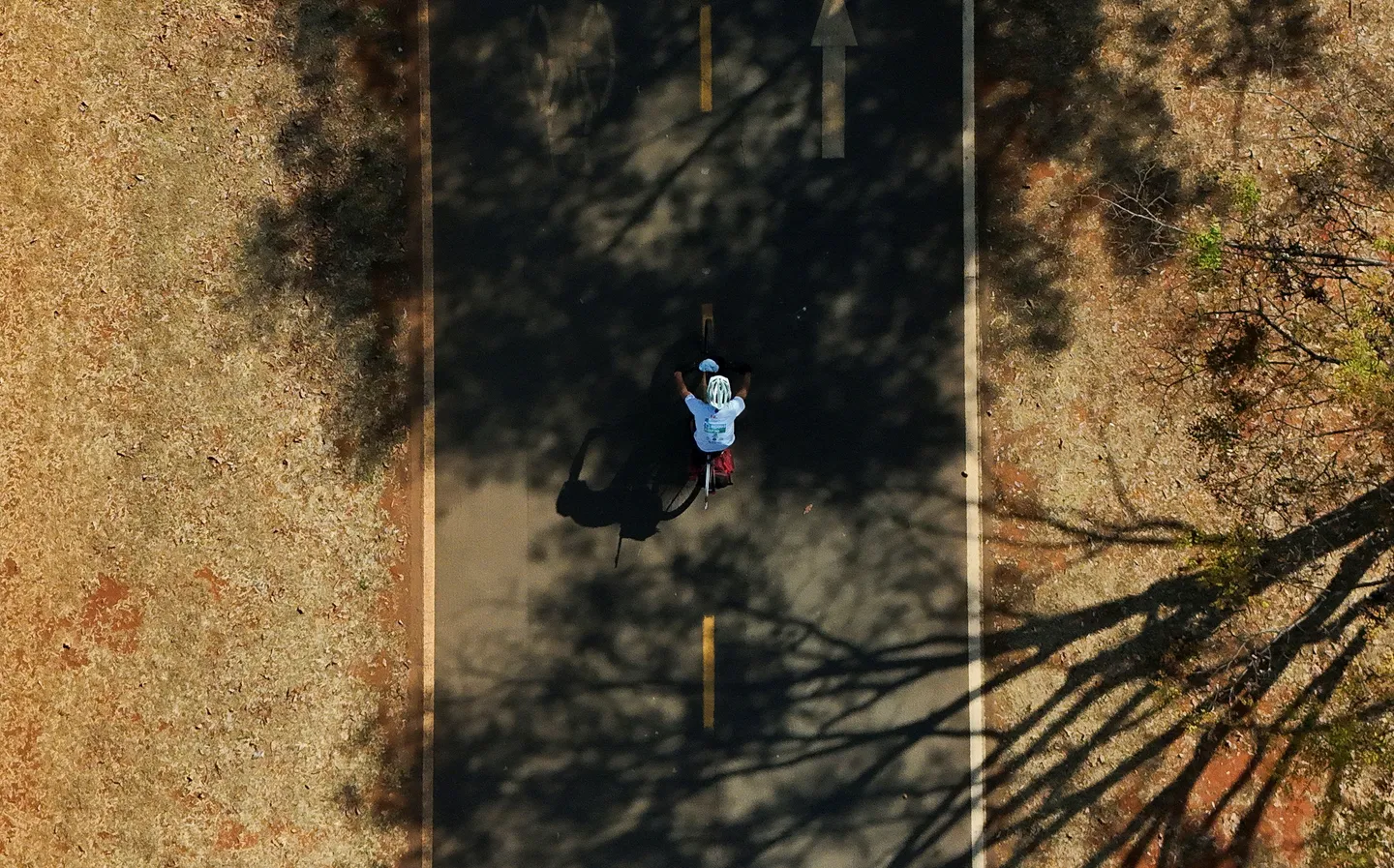 A pedalar até ao Brasil: Ativistas pedem transportes mais ecológicos nas negociações da COP30
