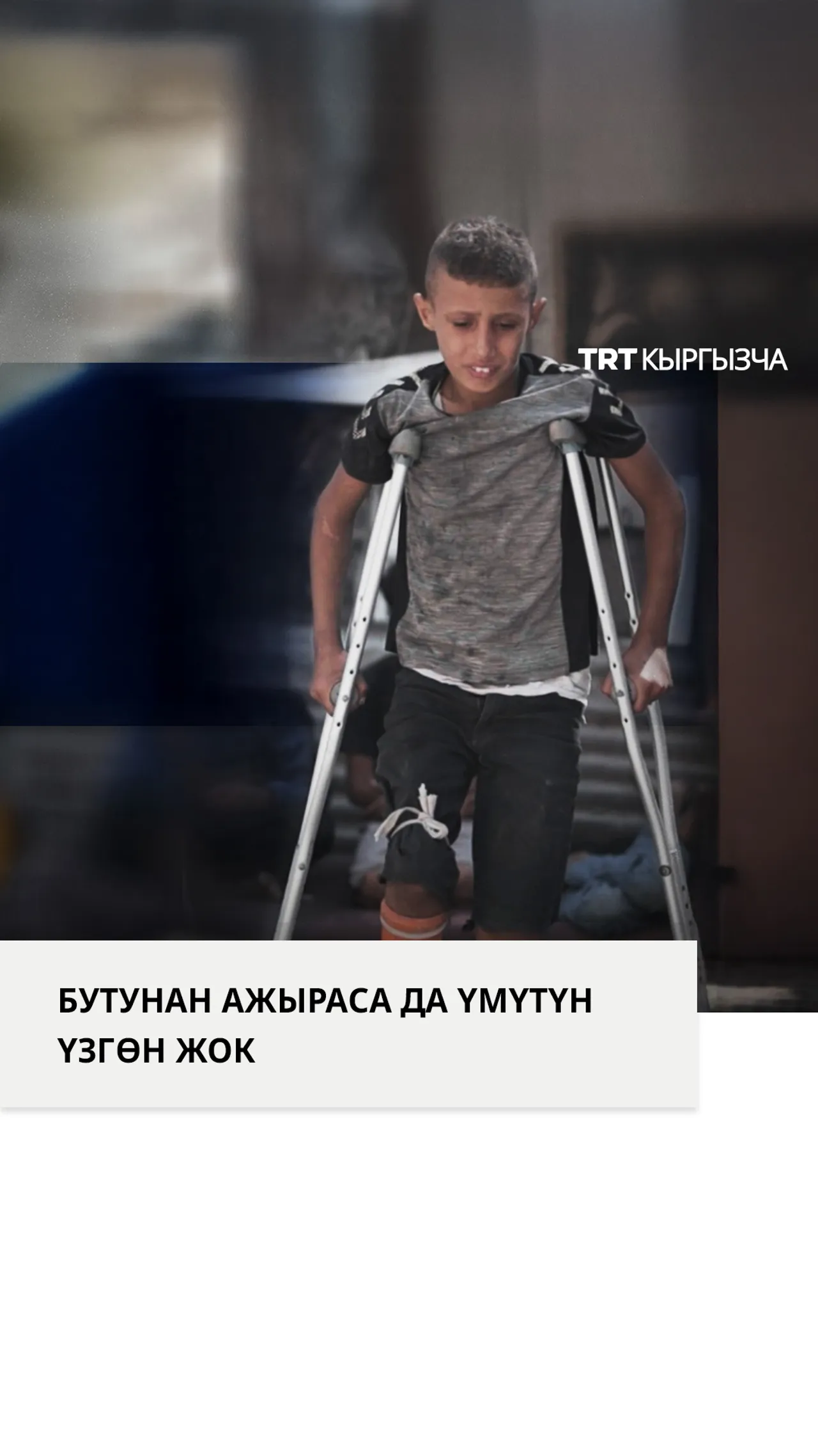 БУТУНАН АЖЫРАСА ДА ҮМҮТҮН ҮЗГӨН ЖОК