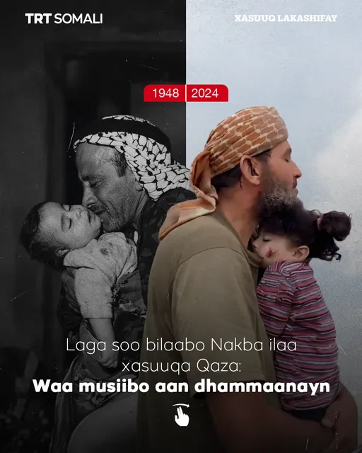 Erkak sikadi va nola qiladi