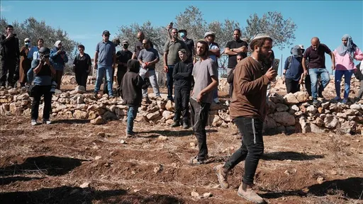 UN: Tokom berbe maslina na Zapadnoj obali najveći broj napada ilegalnih doseljenika u pet godina