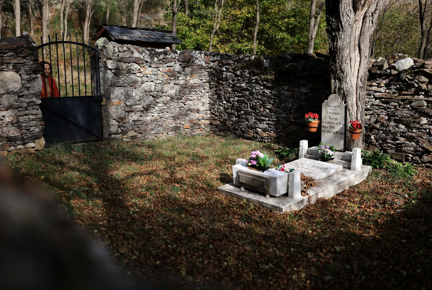 Begraafplaats Dordrecht voerde illegale experimenten uit op overledenen