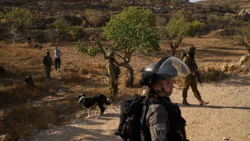 Израильская армия провела очередные облавы