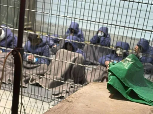 Procuradora militar de Israel admite ter divulgado vídeo de soldados agredindo detido palestiniano