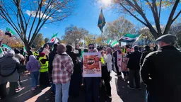 Syrians celebrate Ahmed al Sharaa's historic White House visit with cheers, flags and dabke