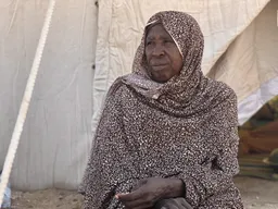 WHO chief calls for halt to Sudan bloodshed